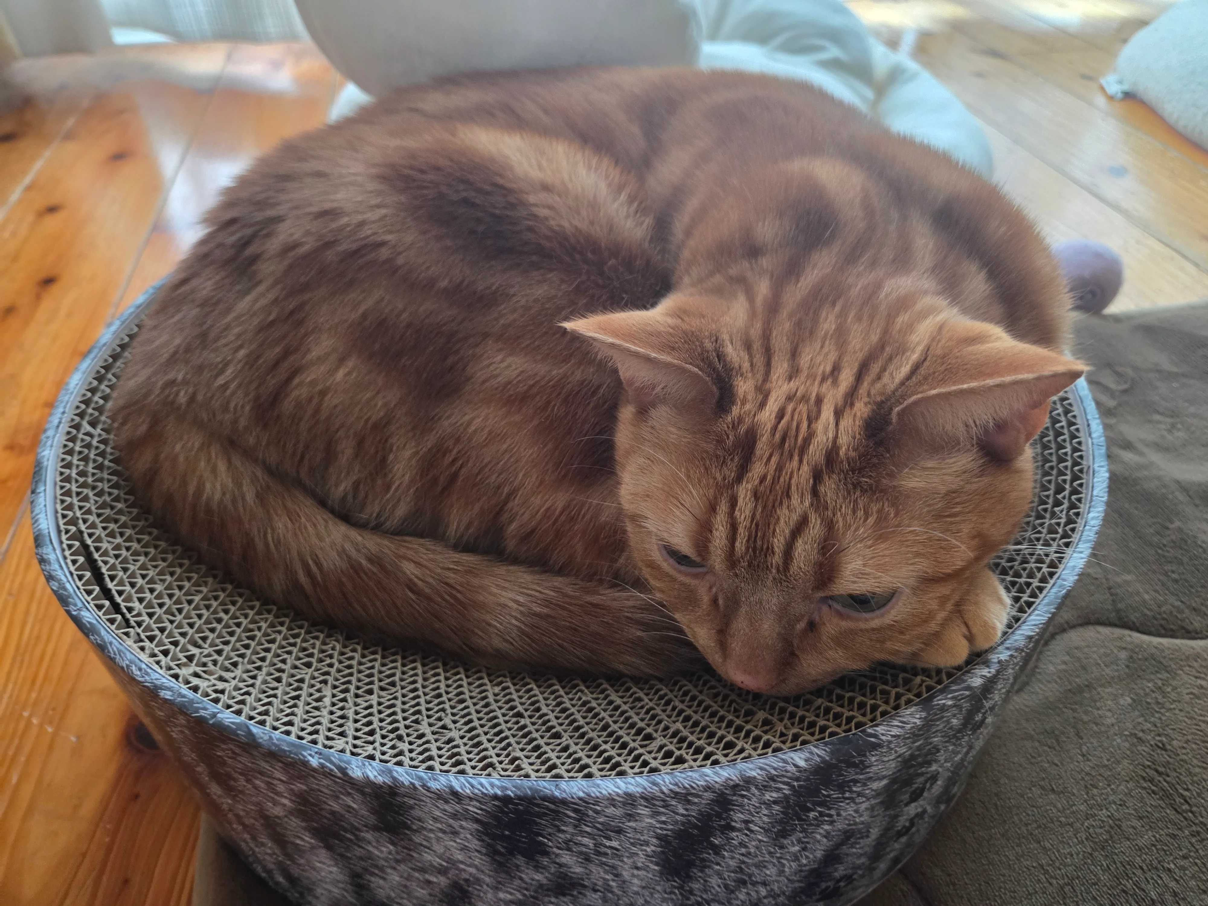 Astroのreference()を使ってマークダウンと外部データを紐付ける