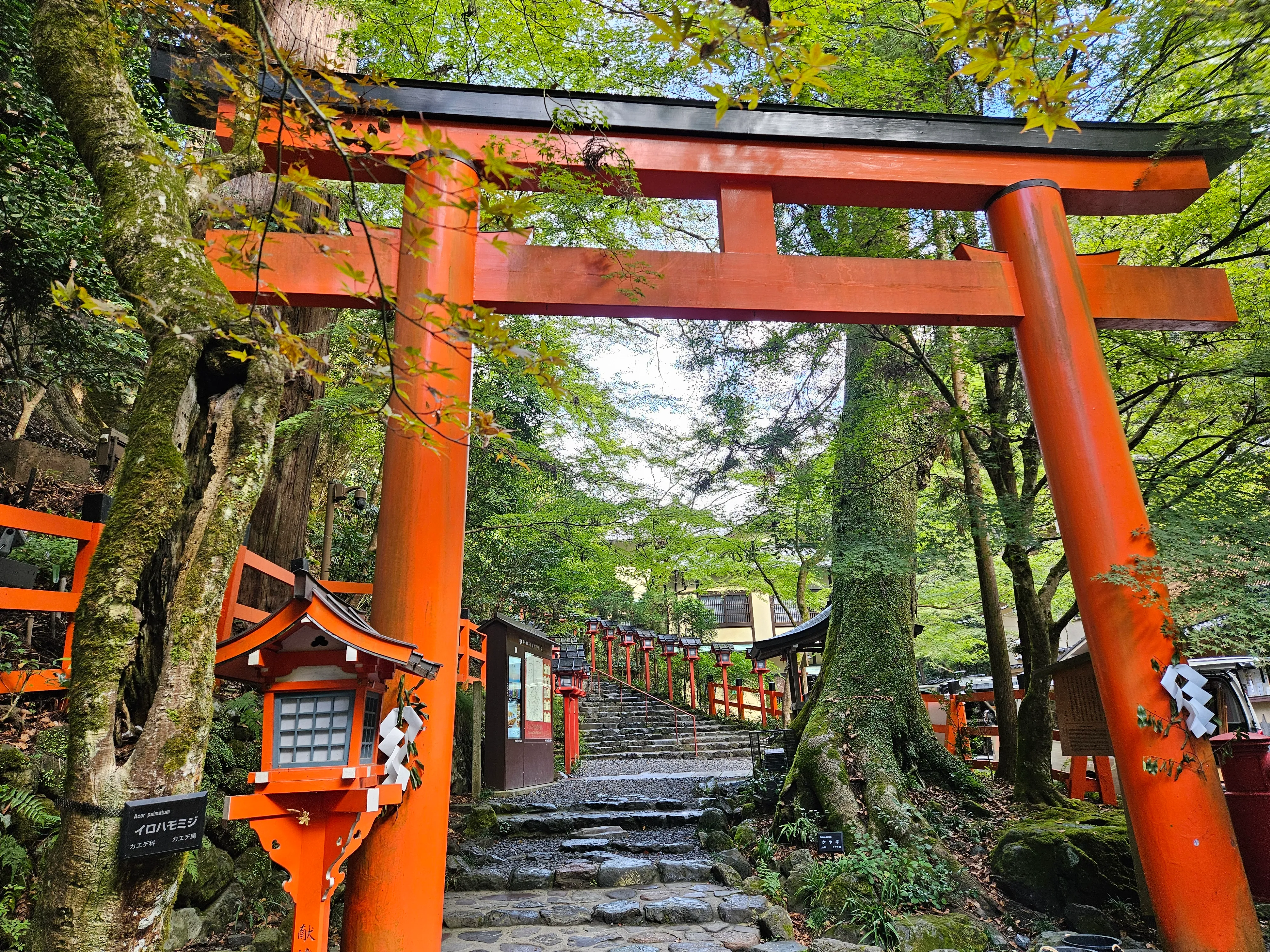 20代が終わり、30代がはじまる