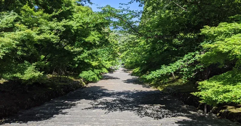京都の嵐山に行ったらちょっと遠くまで歩いたほうがいいと思う